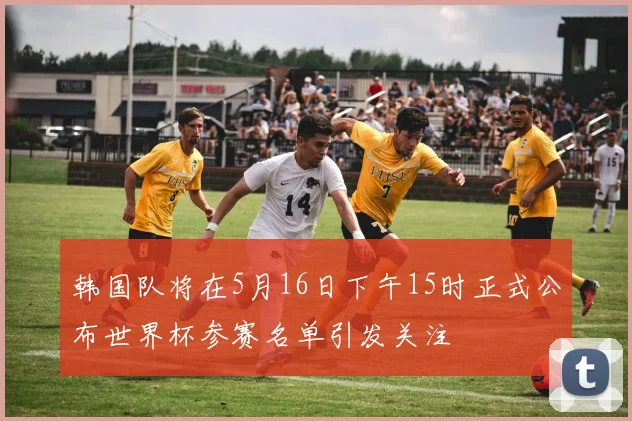 韩国队将在5月16日下午15时正式公布世界杯参赛名单引发关注